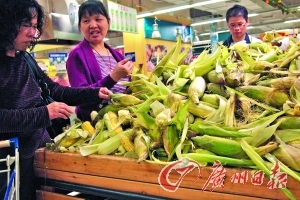 　　中山六路某超市，市民在选购玉米。　　倪黎祥 摄