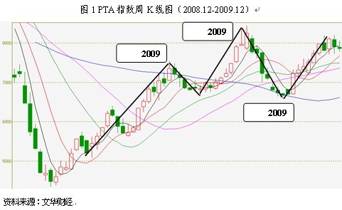 2010年PTA年报