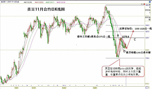 　　图7：美豆11月合约技术分析图