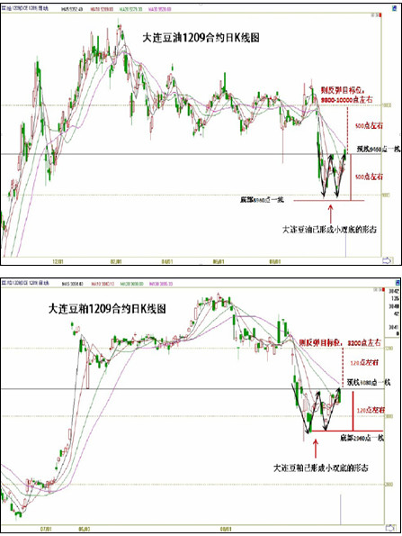 　　图8：大连豆油1209合约与豆粕1209合约技术分析图