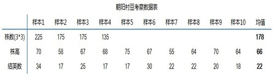 大豆
