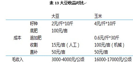 大豆