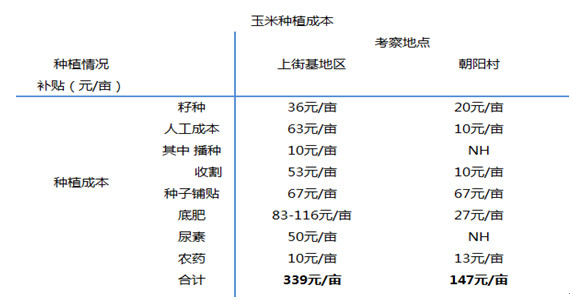 玉米