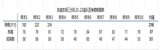 大豆
