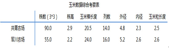 玉米