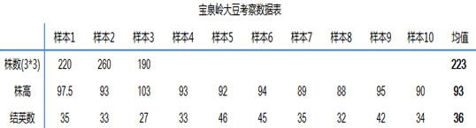 大豆