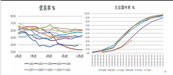 大豆