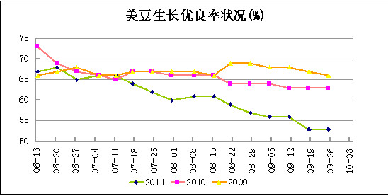 大豆
