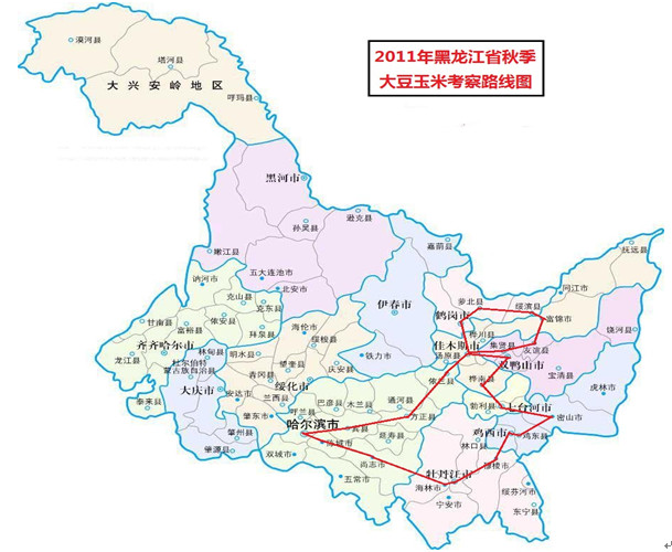 大豆