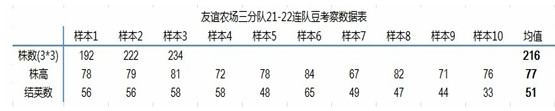 大豆