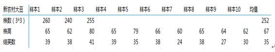 大豆