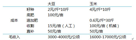 大豆