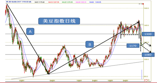 美豆技术分析