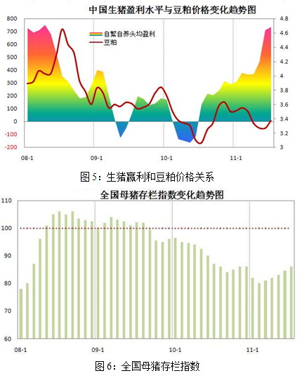 【2011期货团队评选】中粮期货：豆类短期面临反弹