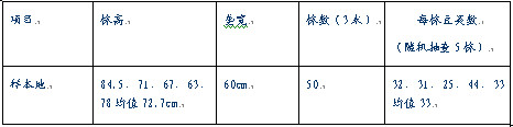 表一