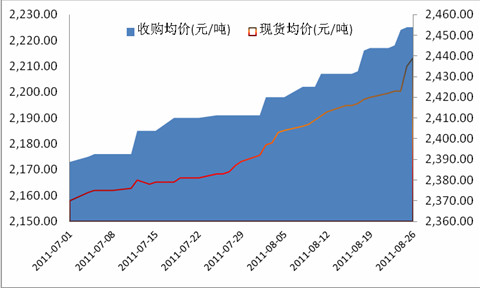玉米