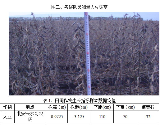 2011大商所黑龙江秋季农产品考察报告之二