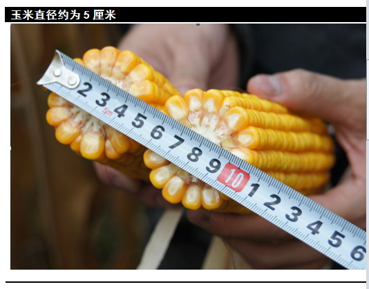 大连商品交易所201秋季大豆玉米考察之一