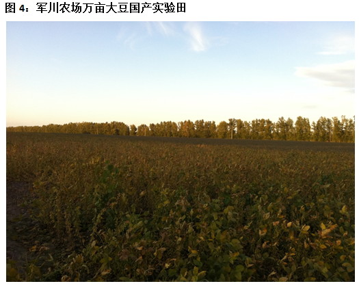 2011年大商所黑龙江秋季大豆玉米东线考察报告二
