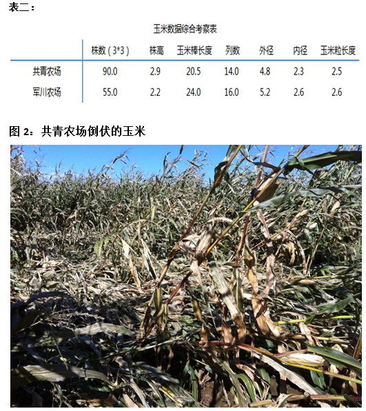 2011年大商所黑龙江秋季大豆玉米东线考察报告二