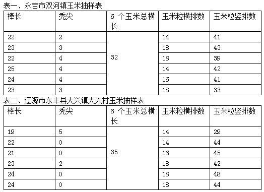 2011年吉林玉米收获期考察（五）