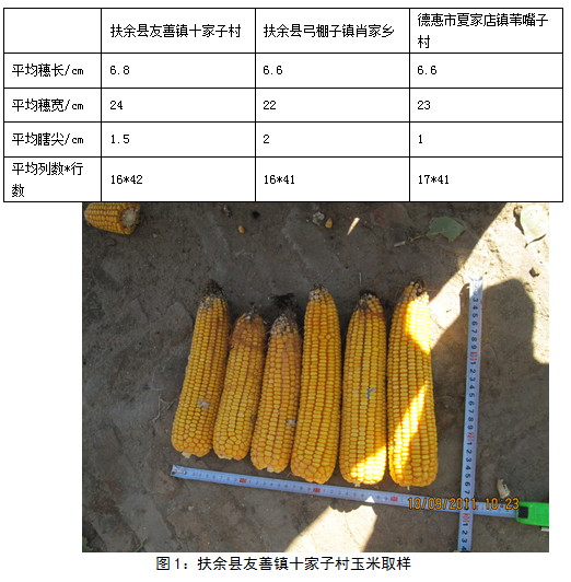 大商所东北玉米收获期考察三：天气不改玉米丰产格局