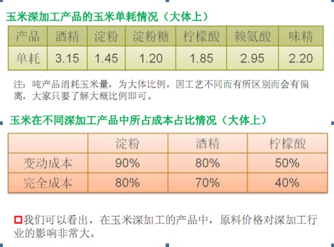 玉米
