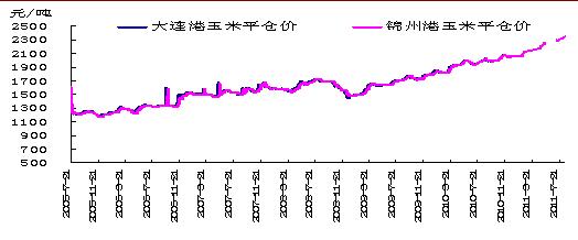 玉米
