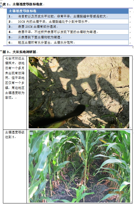 【2011期货团队评选】南华期货：大豆玉米调研报告