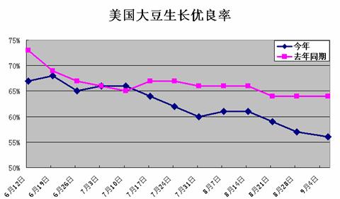 大豆