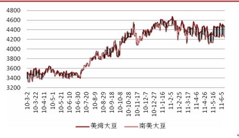 大豆