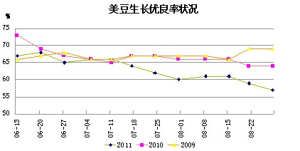 　　图6：美豆生长情况状况
