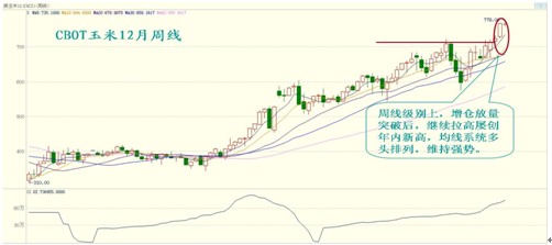 　　图7 CBOT玉米12月周线