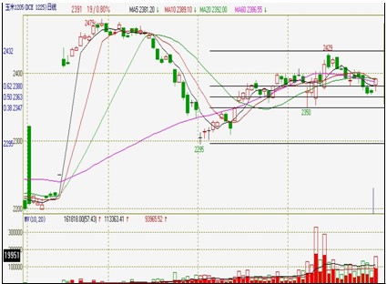 　　图为连玉米主力1205合约技术分析图。（图片来源：文华财经）