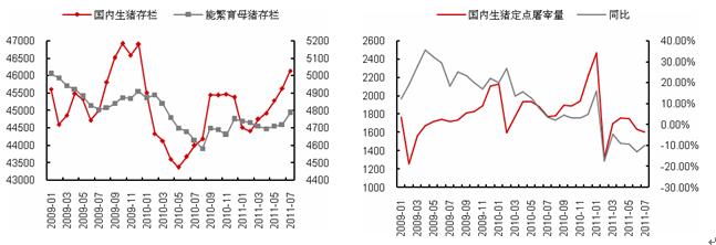 大豆